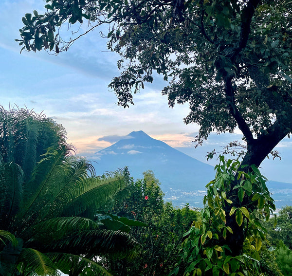 Come Along on a Guatemala Buying Trip from Antigua to Lake Atitlan Tierra del Lagarto