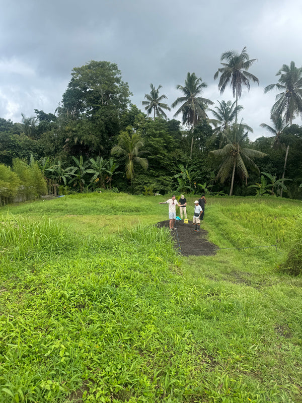 Building in Bali - Slow Progress is Better than No Progress
