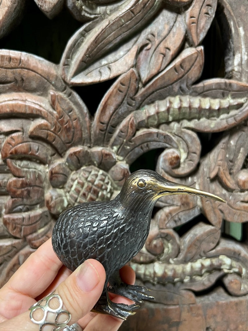 Bronze Kiwi Bird from Java Tierra del Lagarto