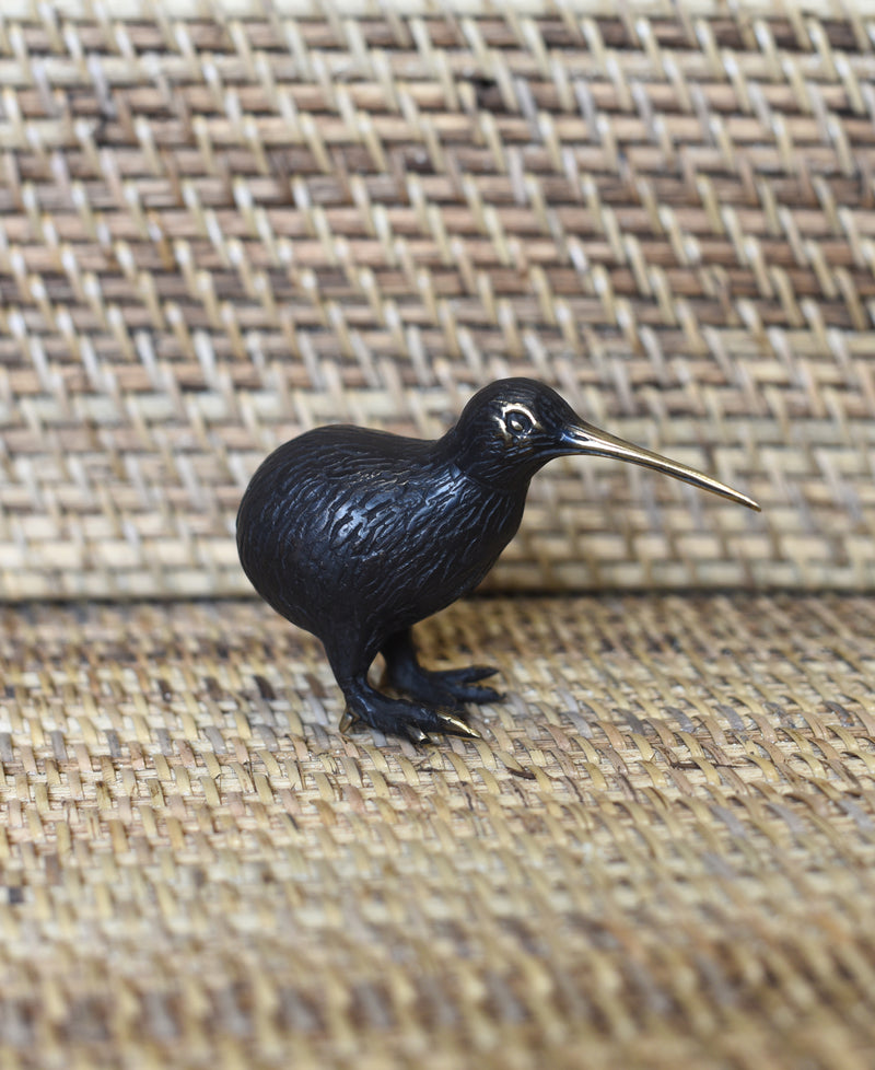 Bronze Kiwi Bird