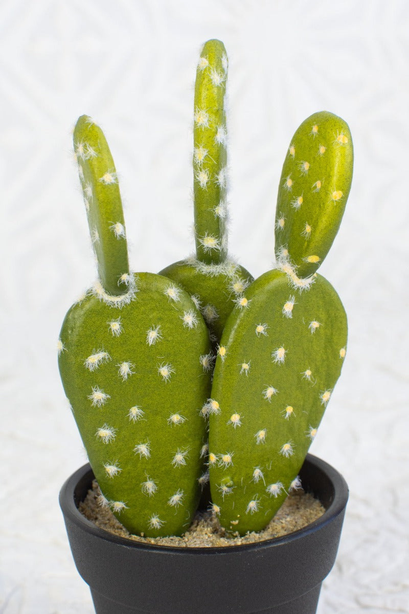 Faux Prickly Pear Cactus in Pot Tierra del Lagarto