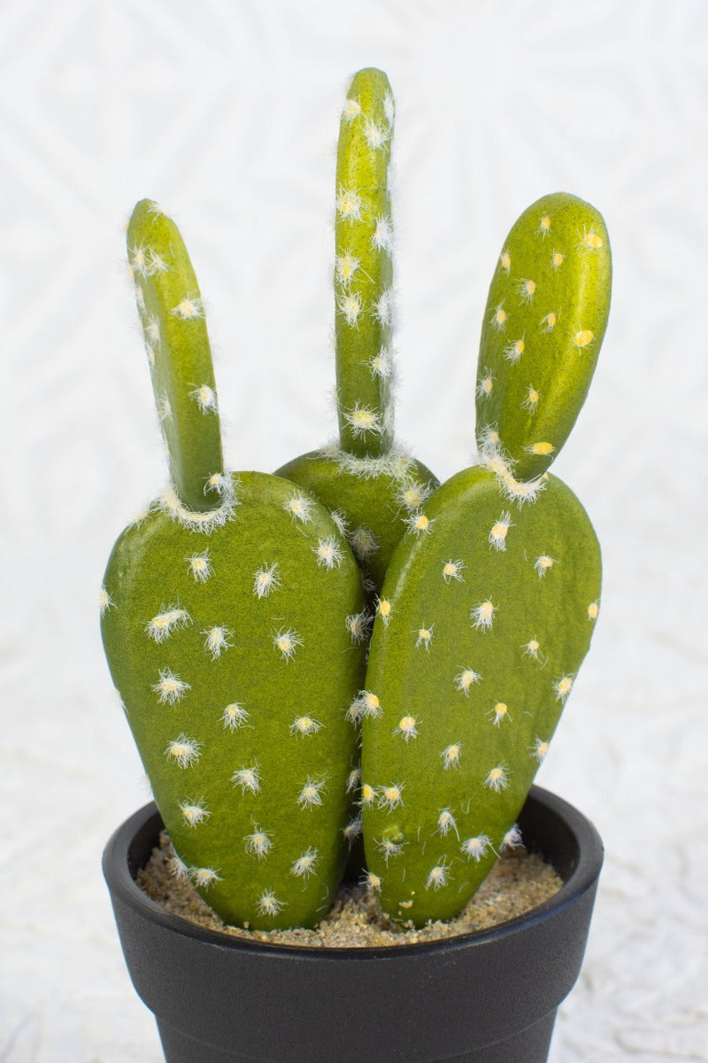 prickly pear cactus in containers Faux Prickly Pear Cactus in Pot